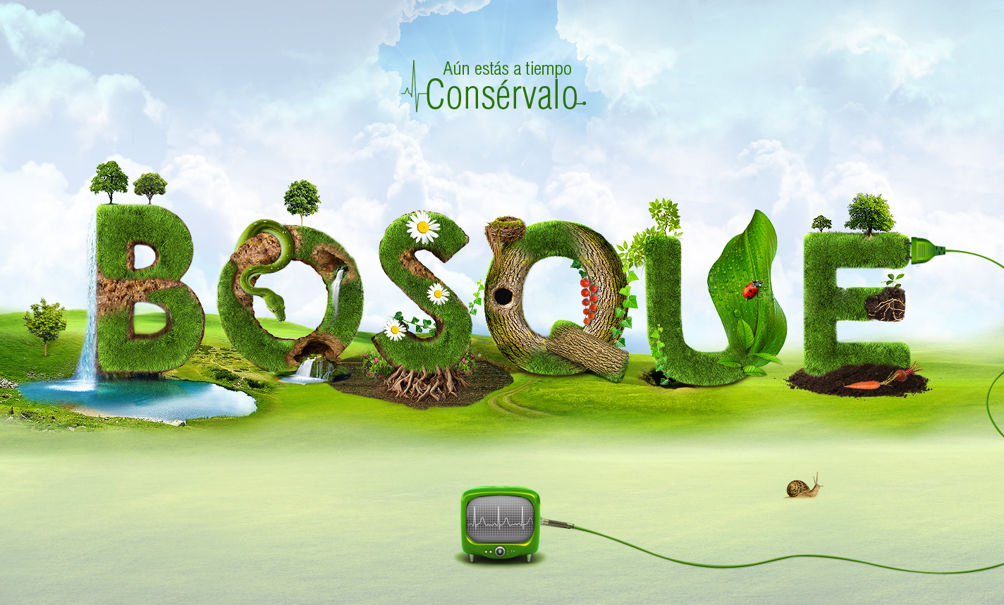 Ecosistema.jpg